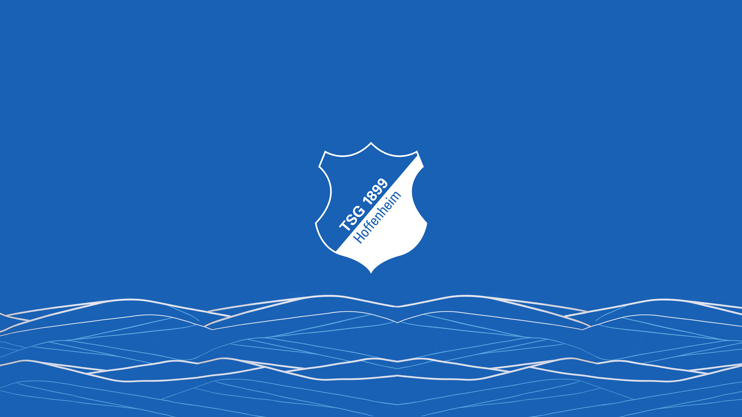 Hoffenheim Logo HD Wallpaper