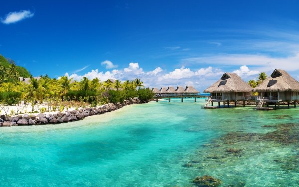 Photography - Tropical Wallpapers and Backgrounds