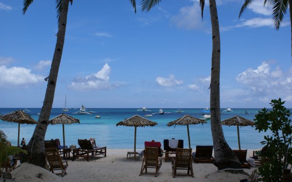 Photography - Tropical Wallpapers and Backgrounds