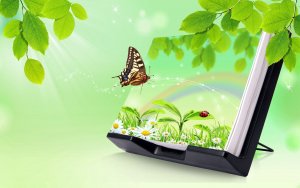 Artistic - Butterfly Wallpaper