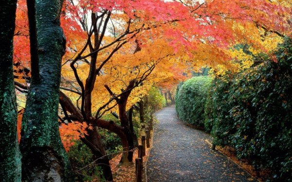 Photography - Park Wallpapers and Backgrounds