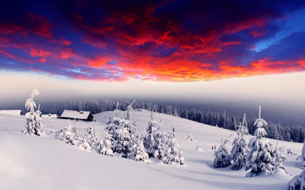 Photography - Winter Wallpapers and Backgrounds