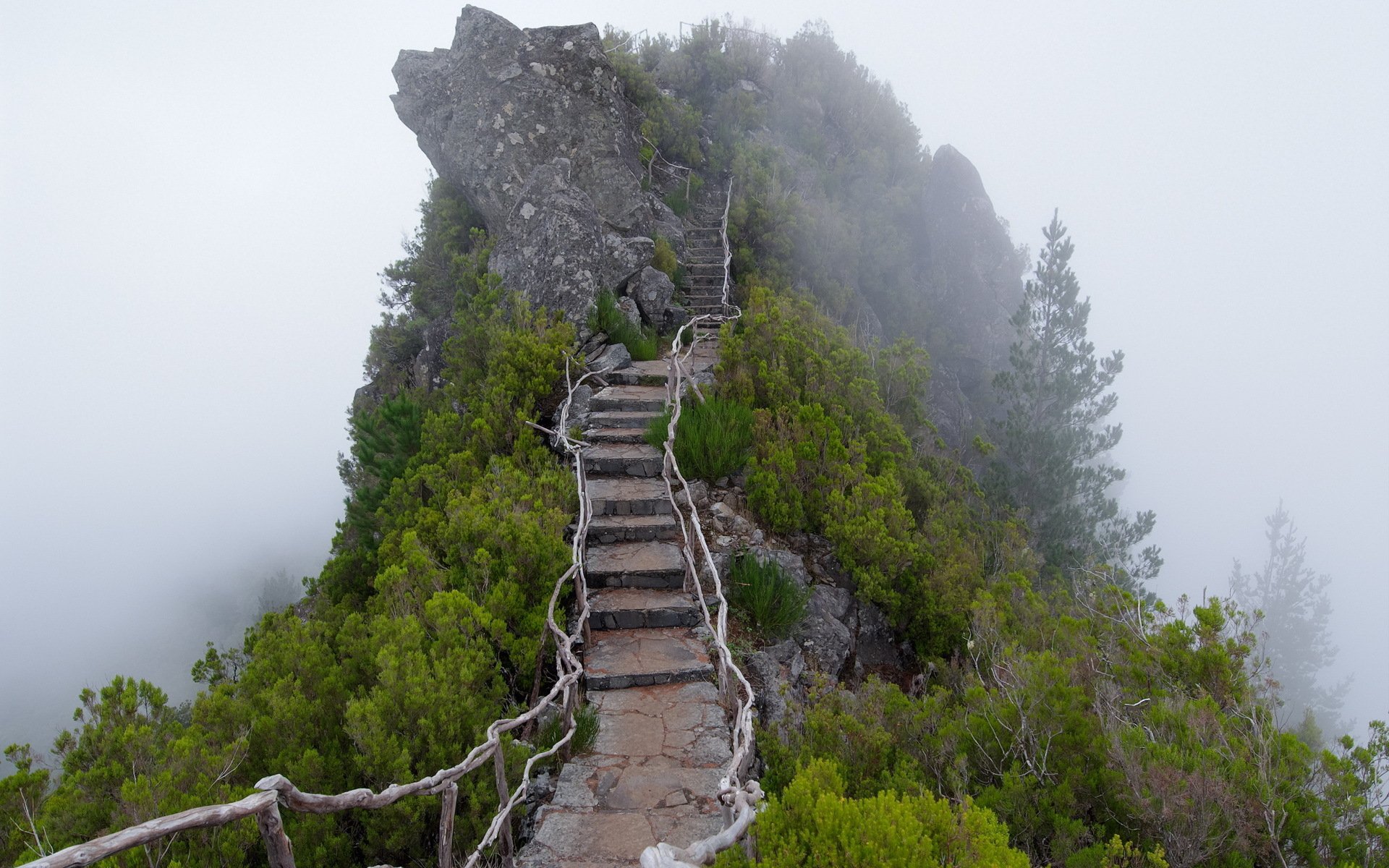 Крым лестница фото