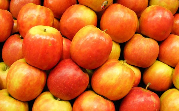 Food - apple Wallpapers and Backgrounds
