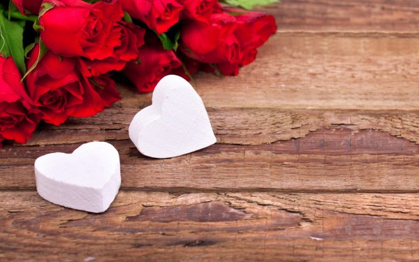 Holiday - valentine
