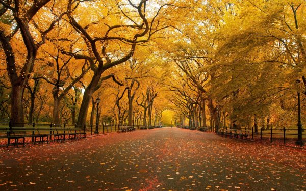 Photography - Park Wallpapers and Backgrounds
