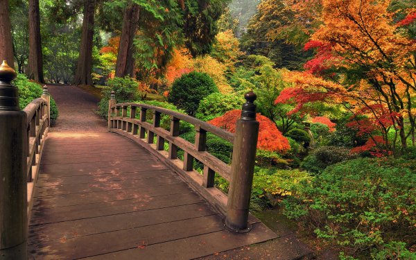 Photography - Park Wallpapers and Backgrounds