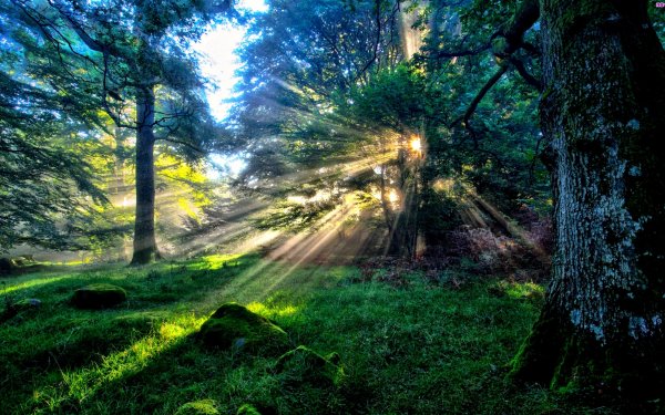 Earth - sunbeam Wallpapers and Backgrounds