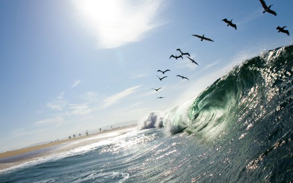 Earth - wave Wallpapers and Backgrounds
