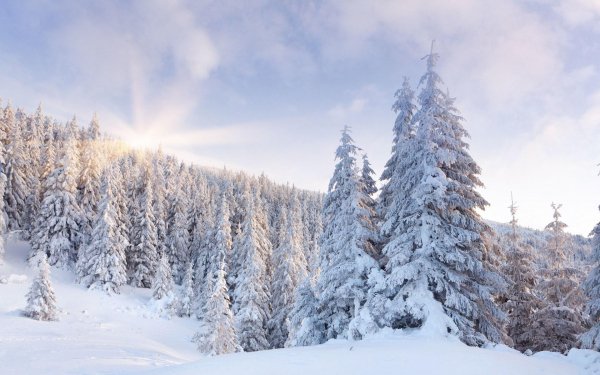 Earth - winter Wallpapers and Backgrounds