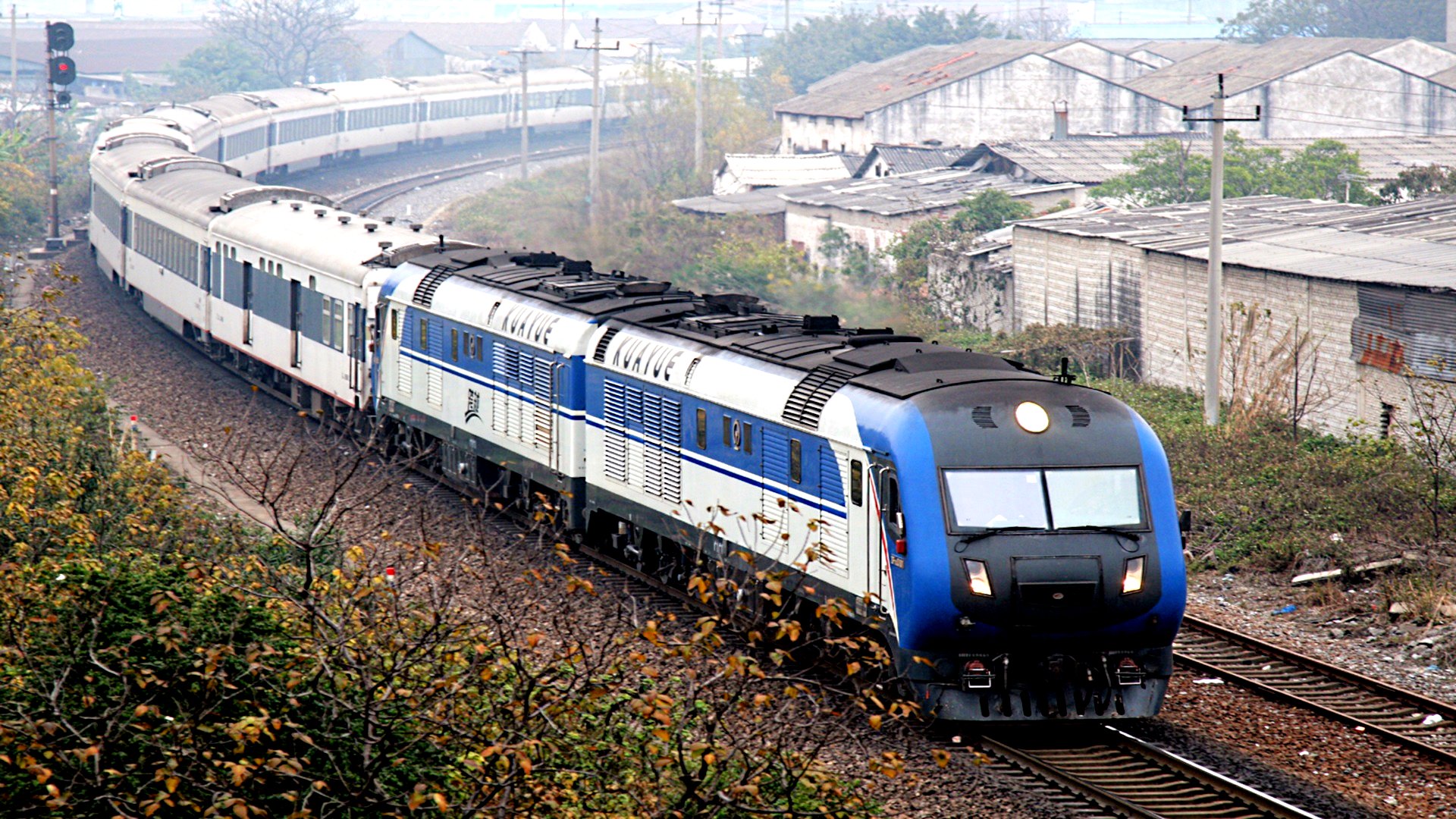 446120.jpg