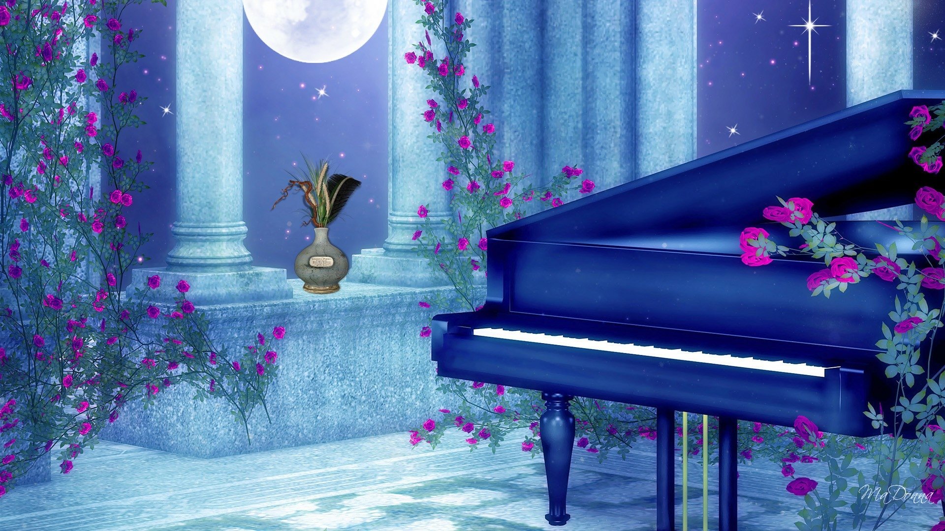 Moonlight violino фото цветов Moonlight violino фото цветов