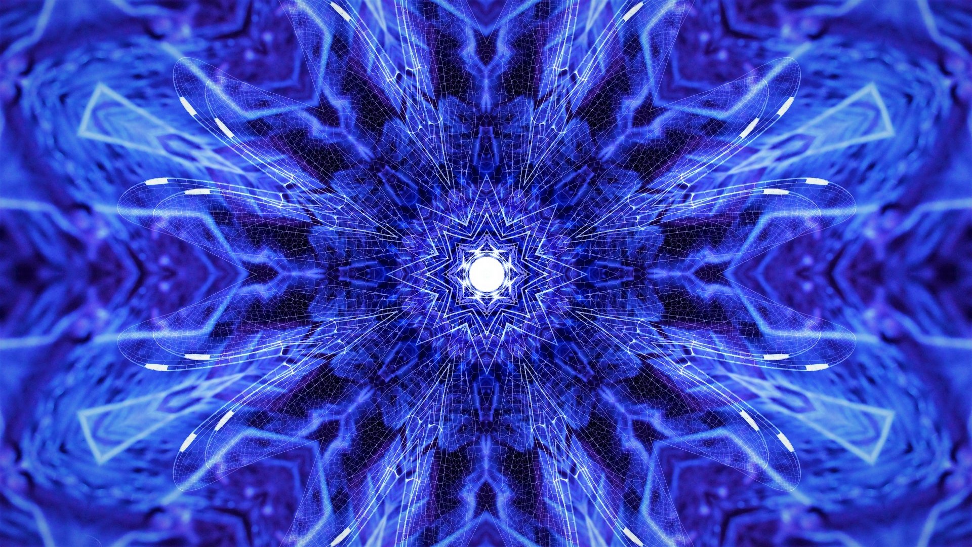 Blue Fractal 4k Ultra Fondo De Pantalla HD Fondo De Escritorio