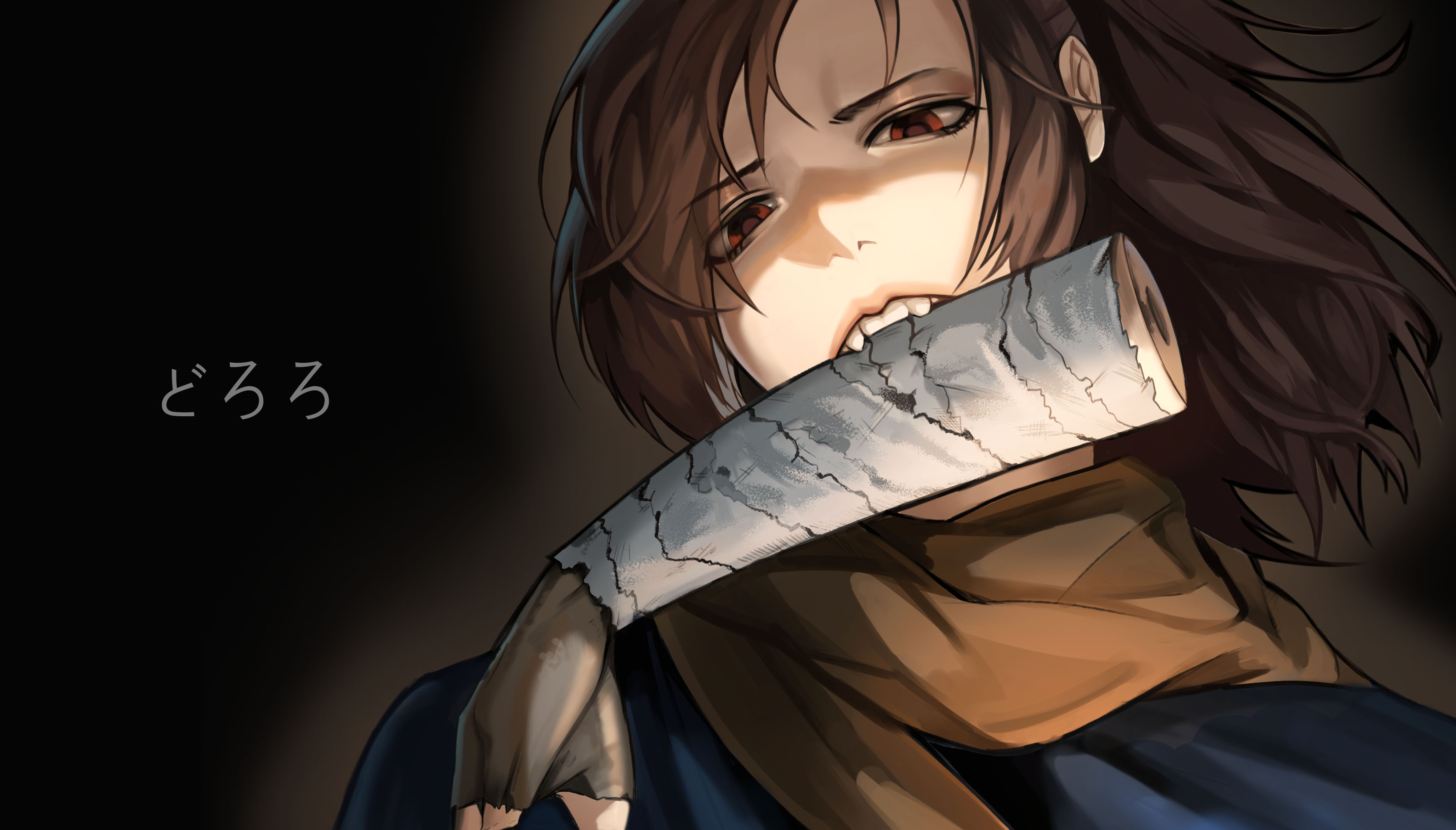 Anime Dororo HD Wallpaper | Background Image