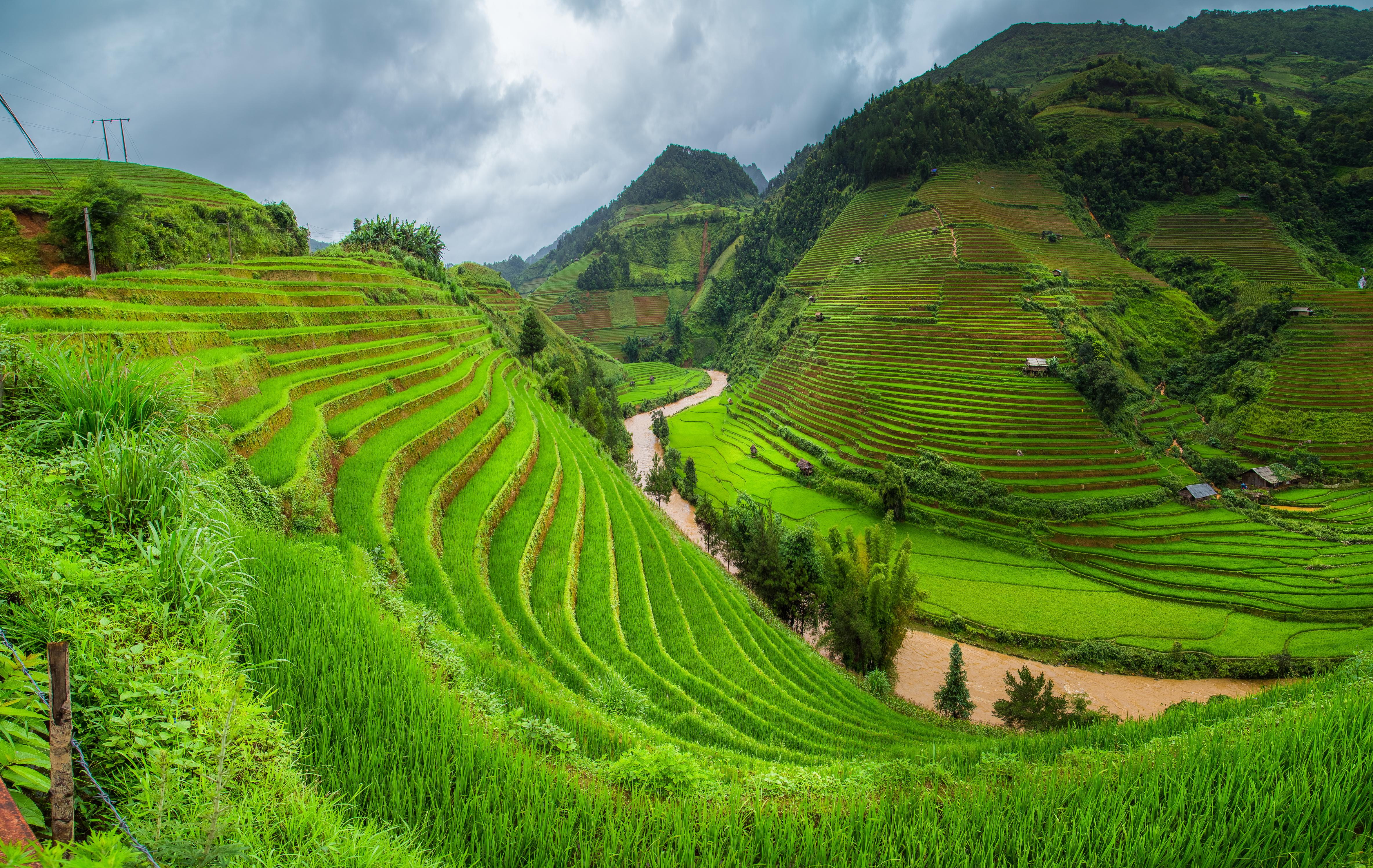 Man Made Rice Terrace HD Wallpaper | Background Image