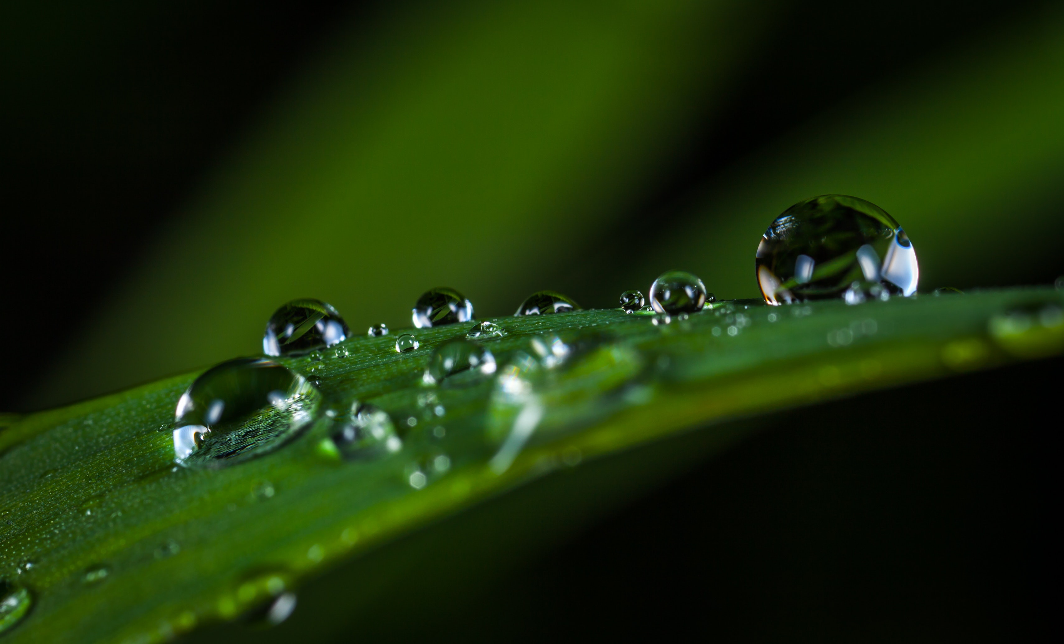 Water Drop Wallpaper Hd