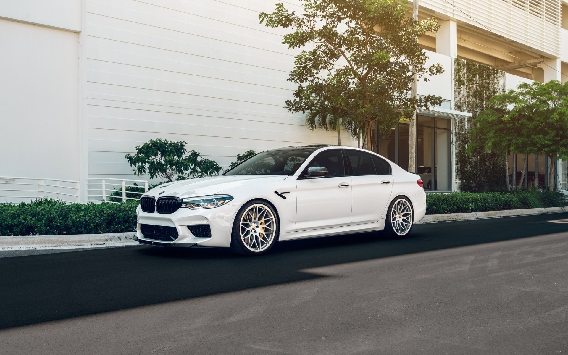 Download White Car Car BMW Vehicle BMW M5 HD Wallpaper