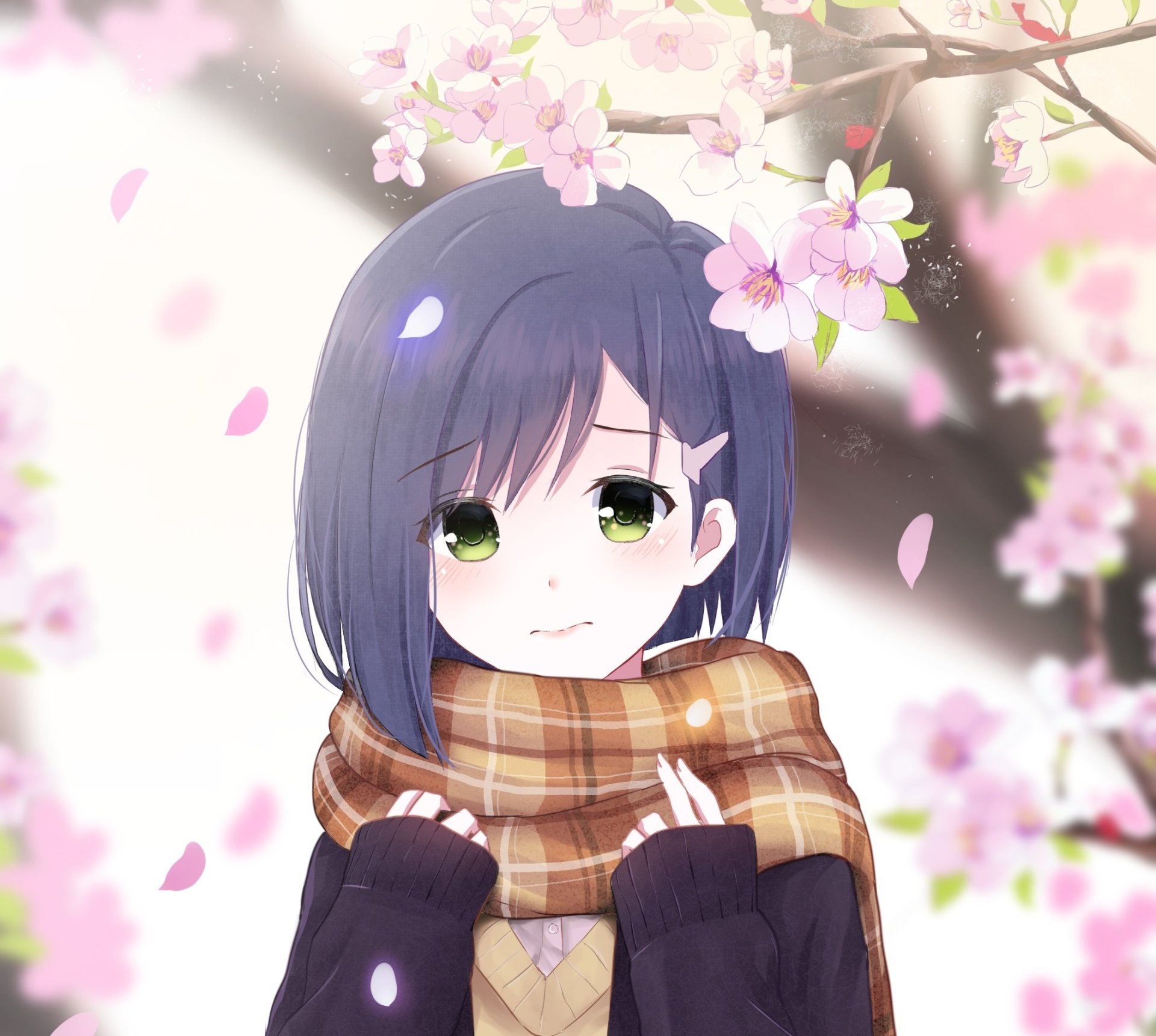 HD desktop wallpaper featuring Ichigo from Darling in the FranXX with blue hair, green eyes, and wearing a cozy scarf surrounded by cherry blossoms.