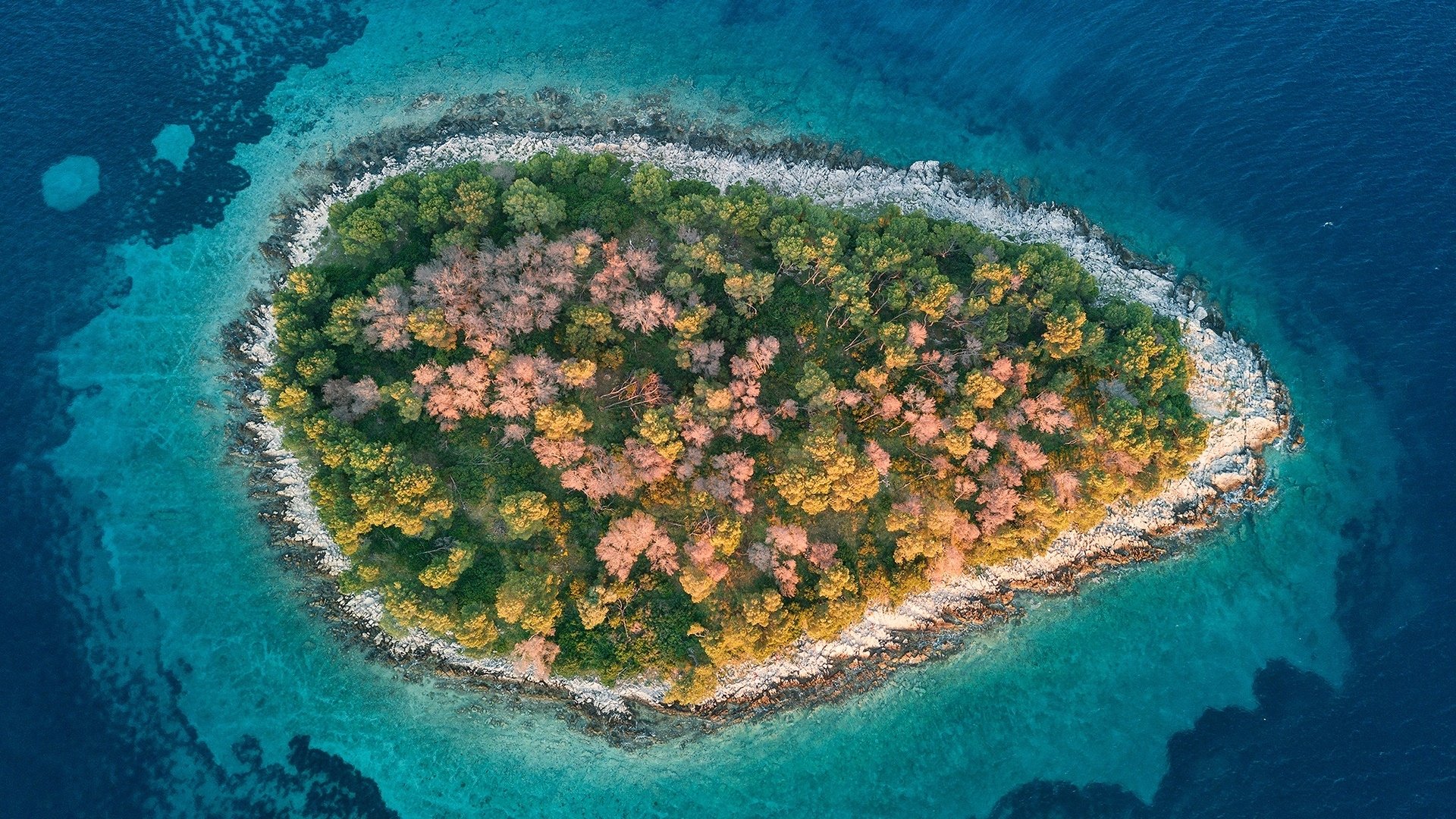 Island Top View