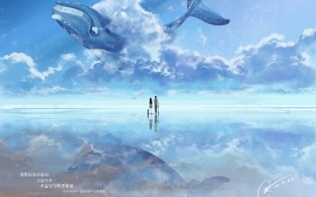 4k Ultra Hd 鲸壁纸 背景