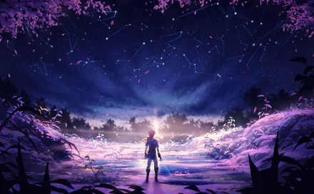 HD desktop wallpaper featuring Link from The Legend of Zelda: Breath of the Wild. Link stands in an enchanting twilight landscape with a starry sky and constellations visible above.
