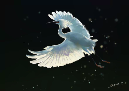 Animal egret HD Desktop Wallpaper | Background Image