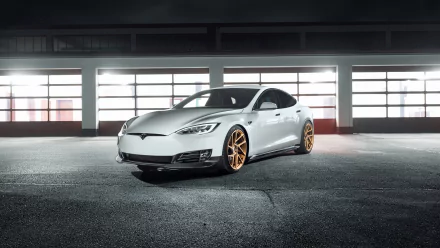 white car car Tesla Motors vehicle Tesla Model S HD Desktop Wallpaper | Background Image