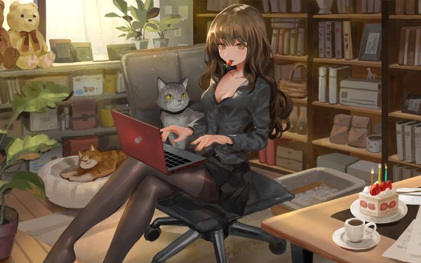 Anime Girl Cat Room HD Wallpaper | Background Image