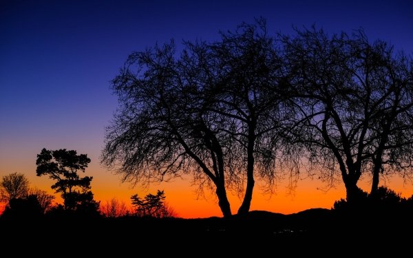 Earth Sunrise HD Wallpaper | Background Image