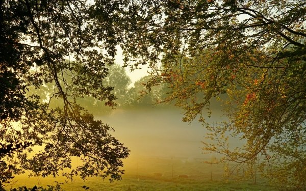 Earth Fog HD Wallpaper | Background Image