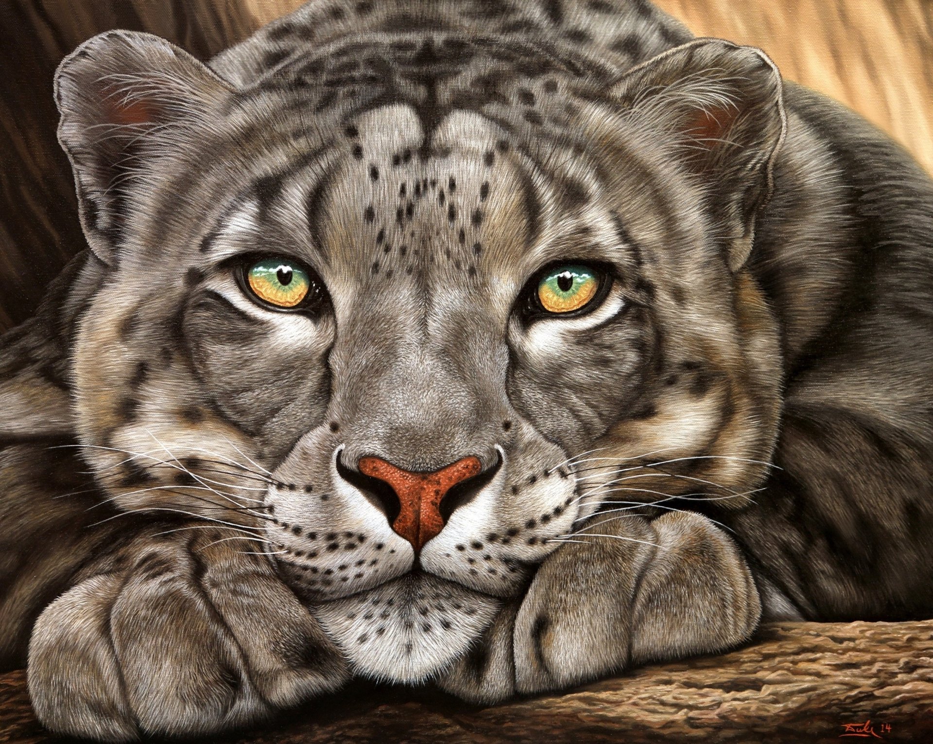 Snow Leopard Hd Wallpaper