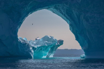 HD desktop wallpaper featuring a breathtaking view of a large iceberg framed by the icy arch of another, with calm waters and a bird soaring in the sky.