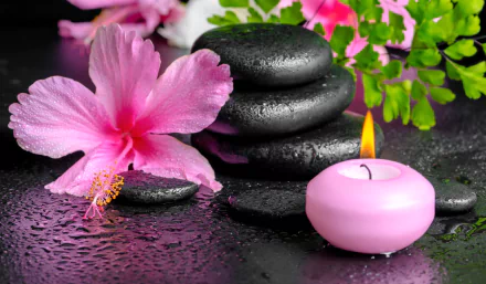 A 4K Ultra HD still life of a pink hibiscus flower, stacked black spa stones, and a lit pink candle on a wet surface with green leaves in the background.