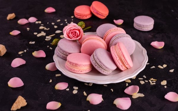 Food Macaron Still Life Sweets HD Wallpaper | Background Image