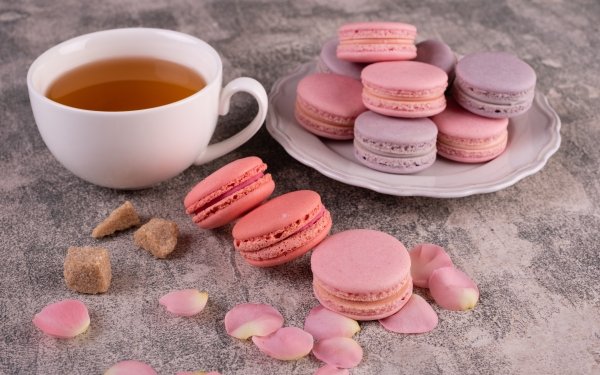 Food Macaron Still Life Sweets Tea Cup HD Wallpaper | Background Image