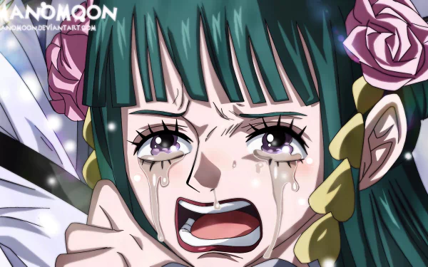 Kozuki Hiyori Anime One Piece HD Desktop Wallpaper | Background Image