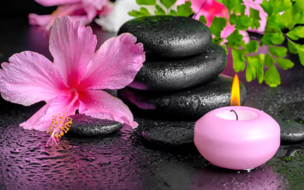 A 4K Ultra HD still life of a pink hibiscus flower, stacked black spa stones, and a lit pink candle on a wet surface with green leaves in the background.