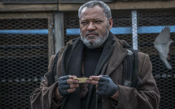 Laurence Fishburne movie John Wick: Chapter 3 - Parabellum HD Desktop Wallpaper | Background Image