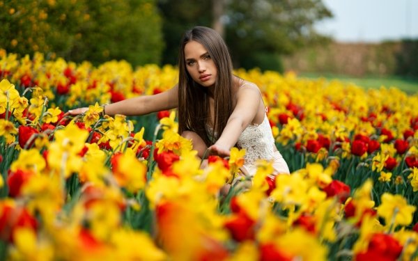 Women Model Black Hair Depth Of Field Flower Yellow Flower HD Wallpaper | Background Image