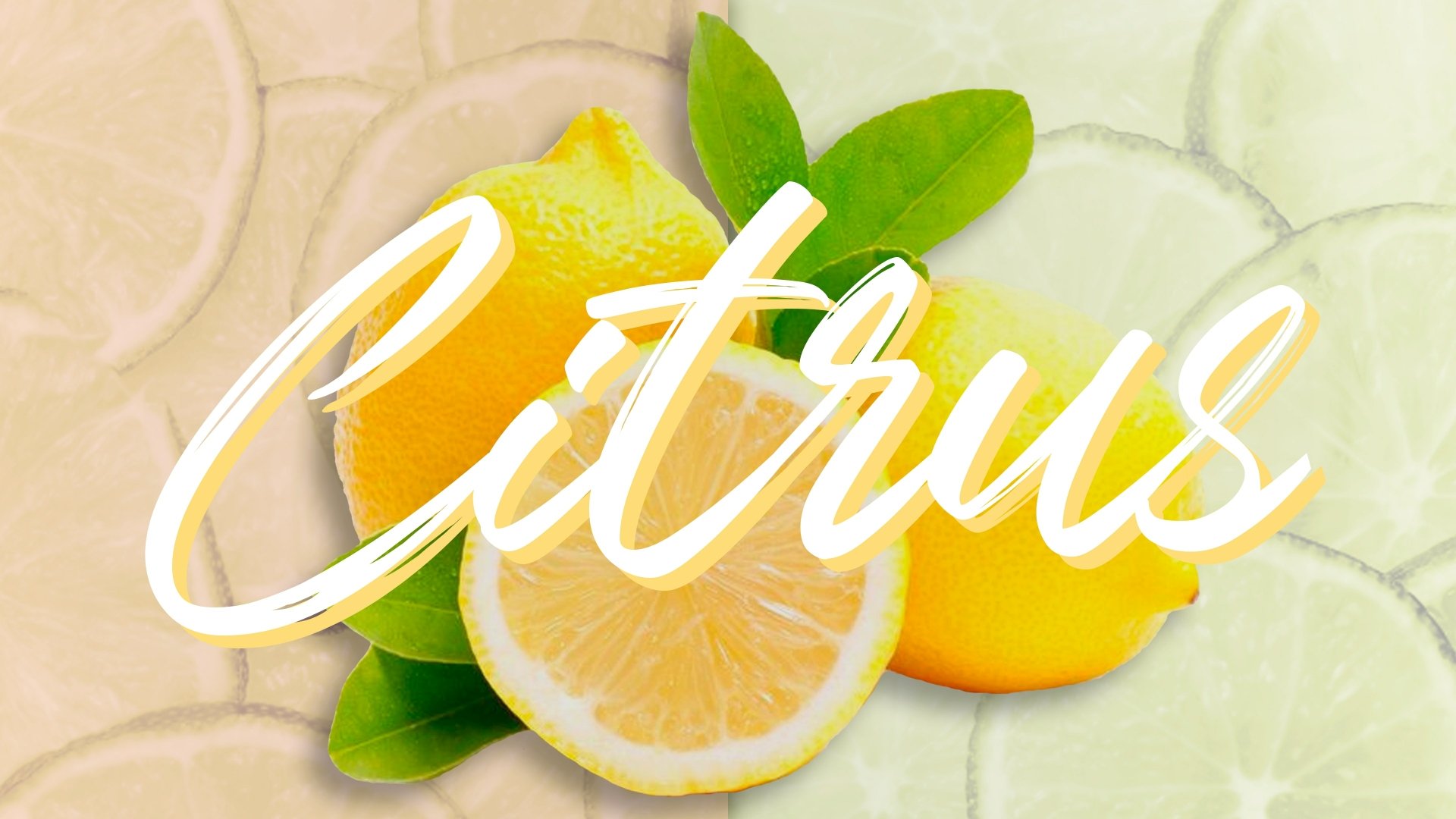 Citrus by luisjimenez7