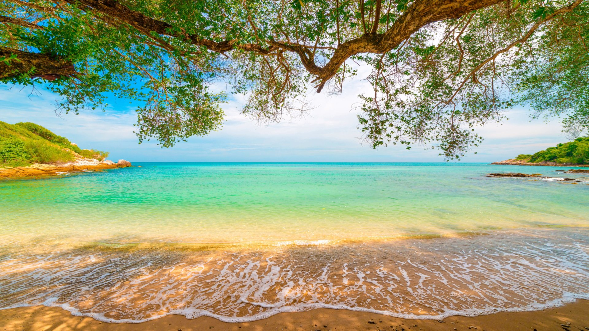 A serene beach scene with foamy waves lapping the sandy shore, framed by a tree branch. The turquoise sea and clear sky create a stunning nature view. HD desktop wallpaper and background.