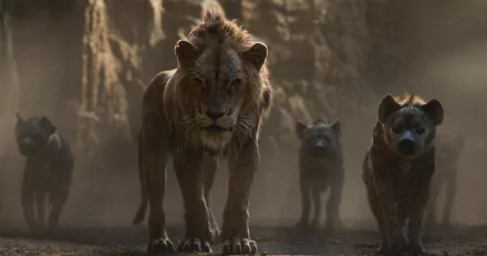 Scar (The Lion King) movie The Lion King (2019) HD Desktop Wallpaper | Background Image