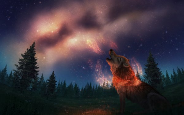 Fantasy Wolf Fantasy Animals HD Wallpaper | Background Image