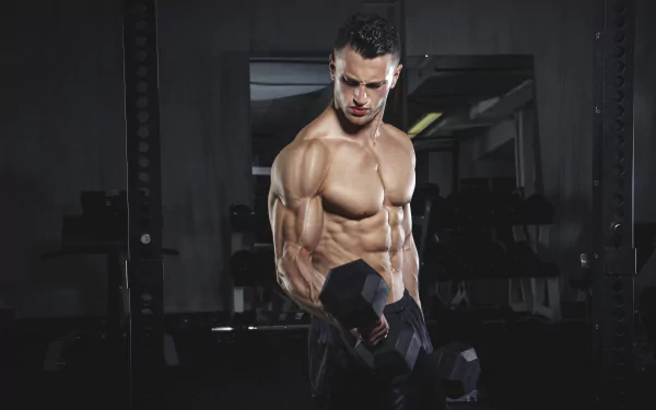 weightlifting bodybuilder muscle bodybuilding Sports HD Desktop Wallpaper | Background Image