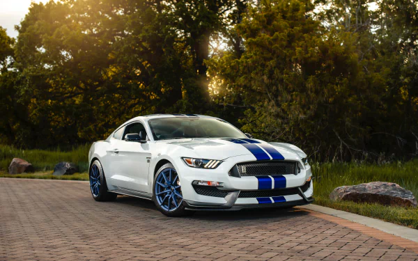 white car muscle car car Ford vehicle Shelby Mustang GT 350 HD Desktop Wallpaper | Background Image