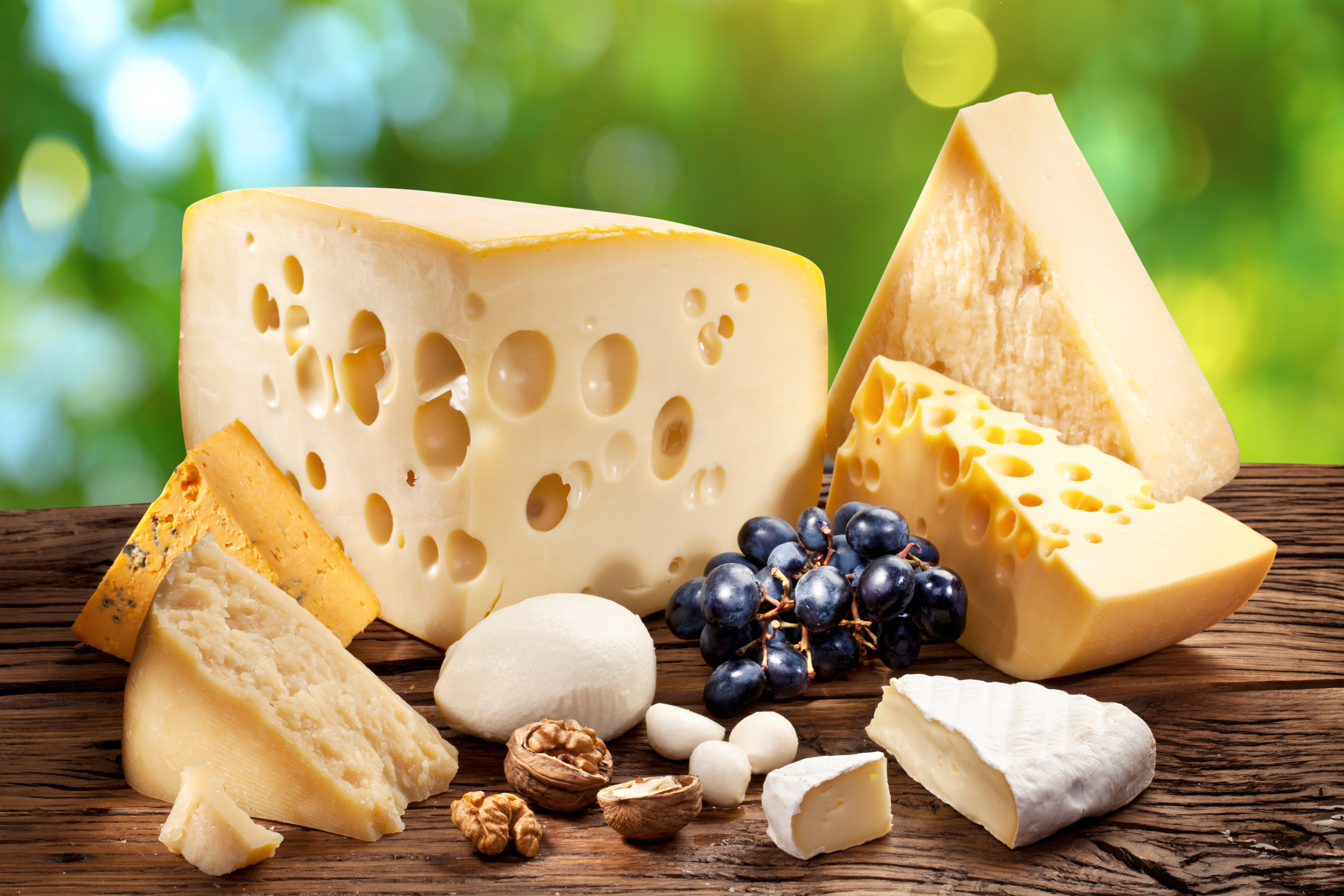 Cheese 4k Ultra HD Wallpaper | Background Image | 5616x3744