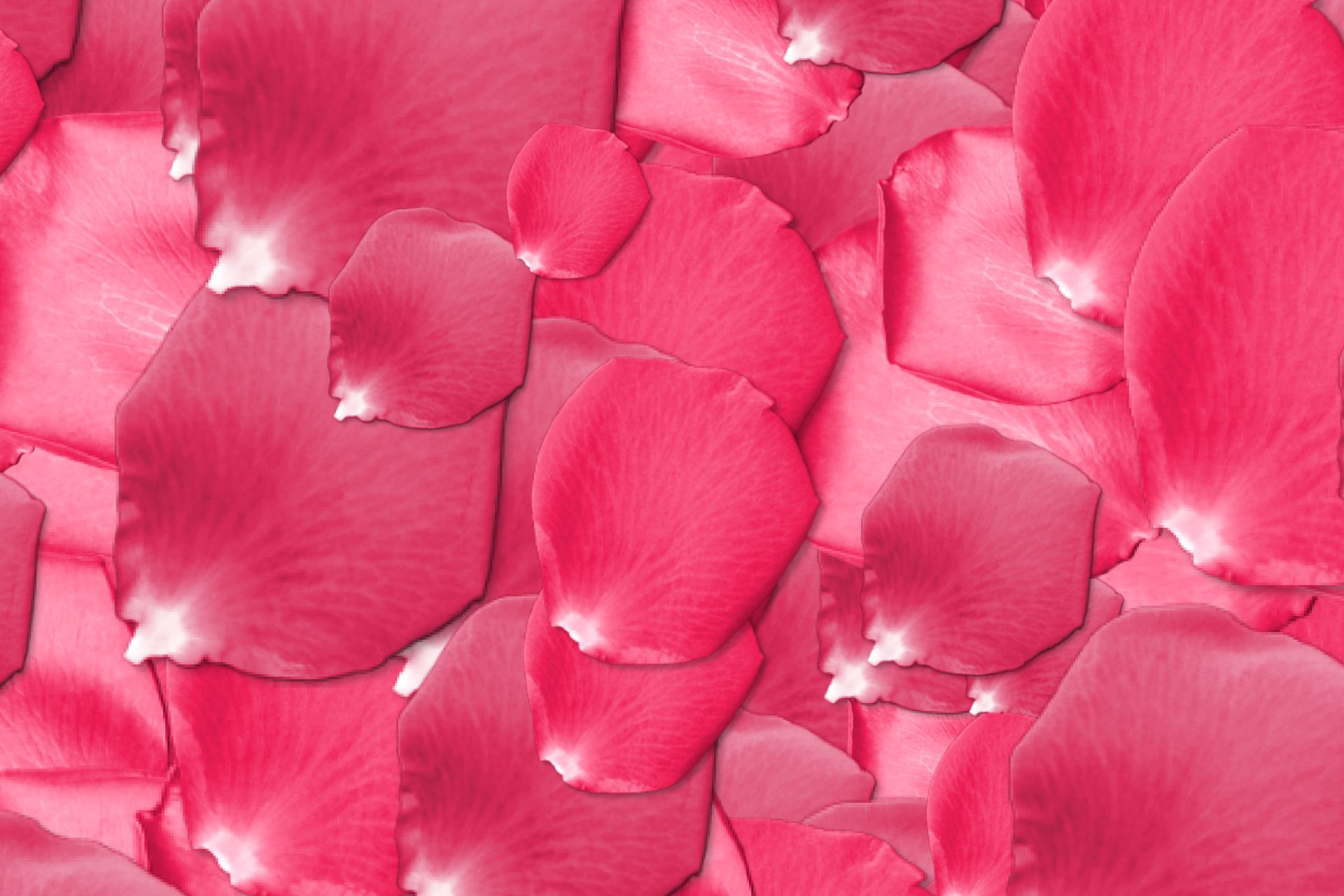 Petals background by Susanlu4esm