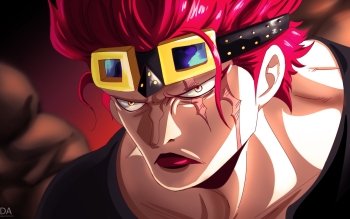 20 Eustass Kid Hd Wallpapers Background Images