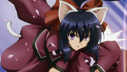 Himari Noihara Anime Omamori Himari HD Desktop Wallpaper | Background Image