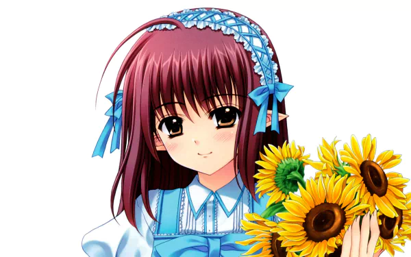 Lisianthus (Shuffle!) Anime Shuffle! HD Desktop Wallpaper | Background Image